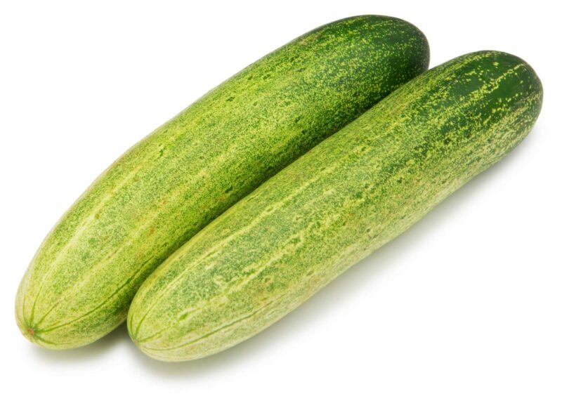 quicksave farms cucumber