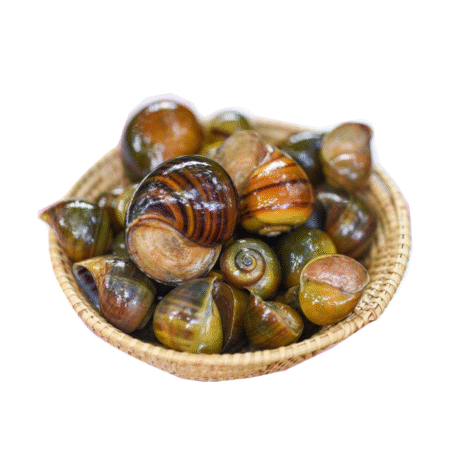quicksave farm snails